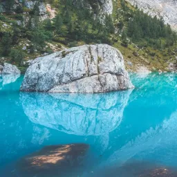 Avatar người đánh giá